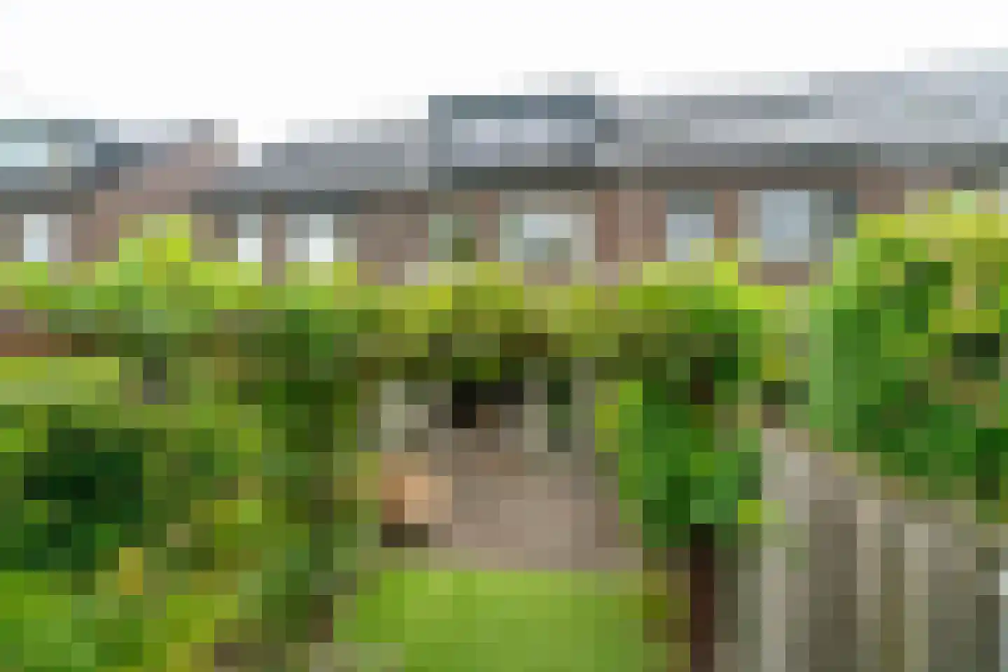Italiëstraat 90 Lent thumbnail 44