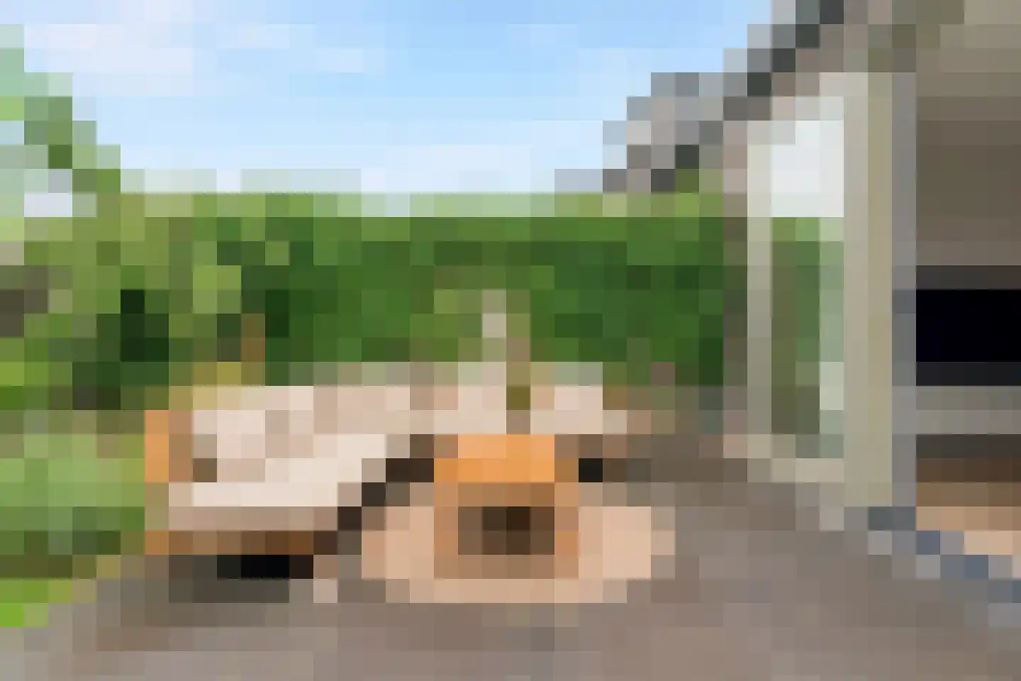 Italiëstraat 90 Lent thumbnail 46