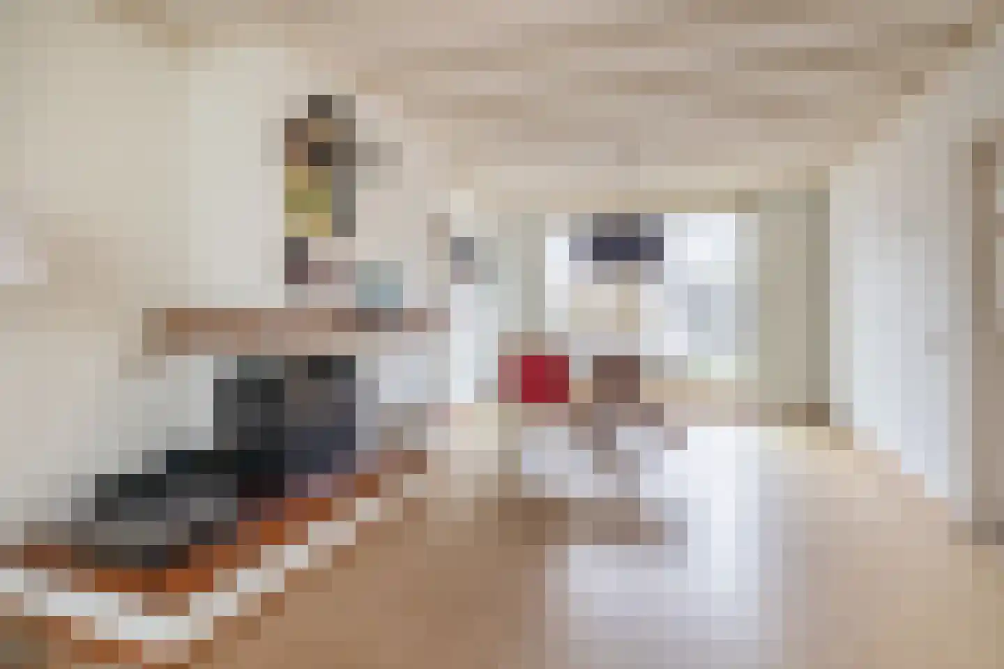 Ithacastraat 22 Eindhoven thumbnail 15