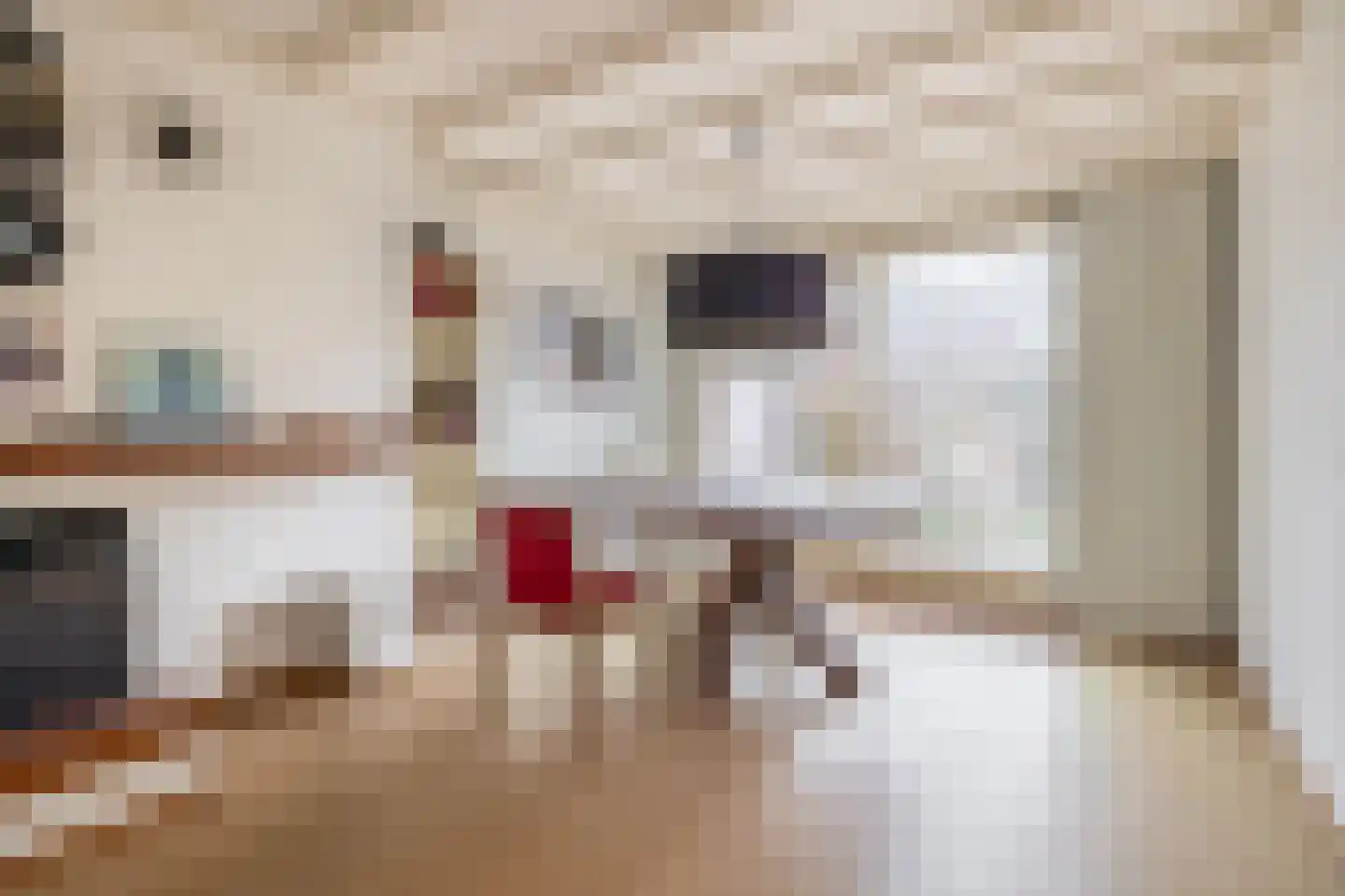 Ithacastraat 22 Eindhoven thumbnail 16