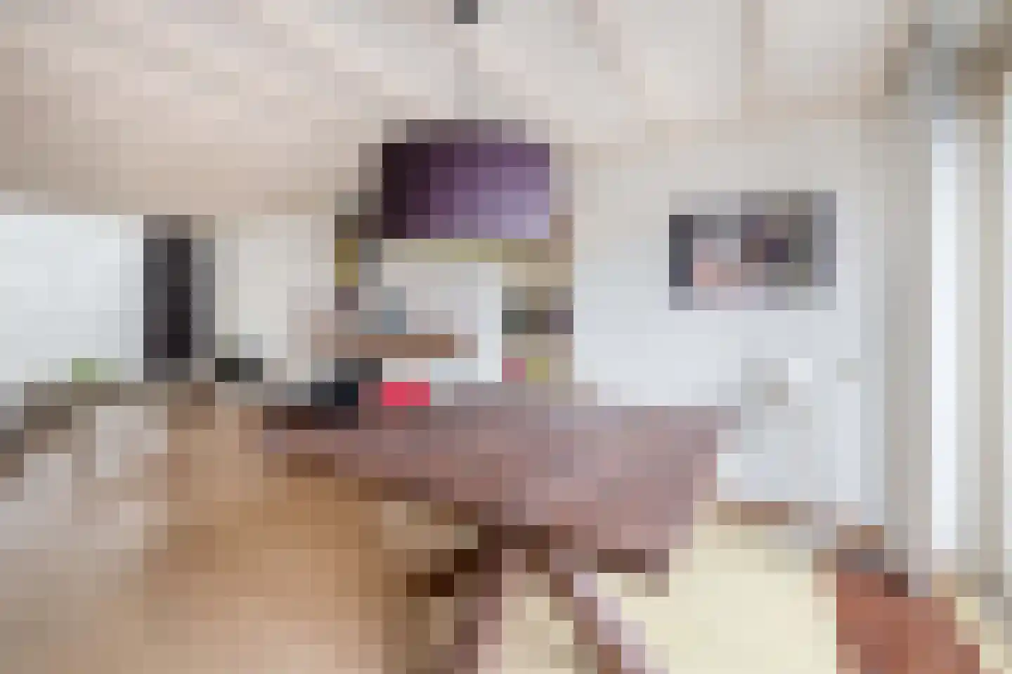 Ithacastraat 22 Eindhoven thumbnail 18