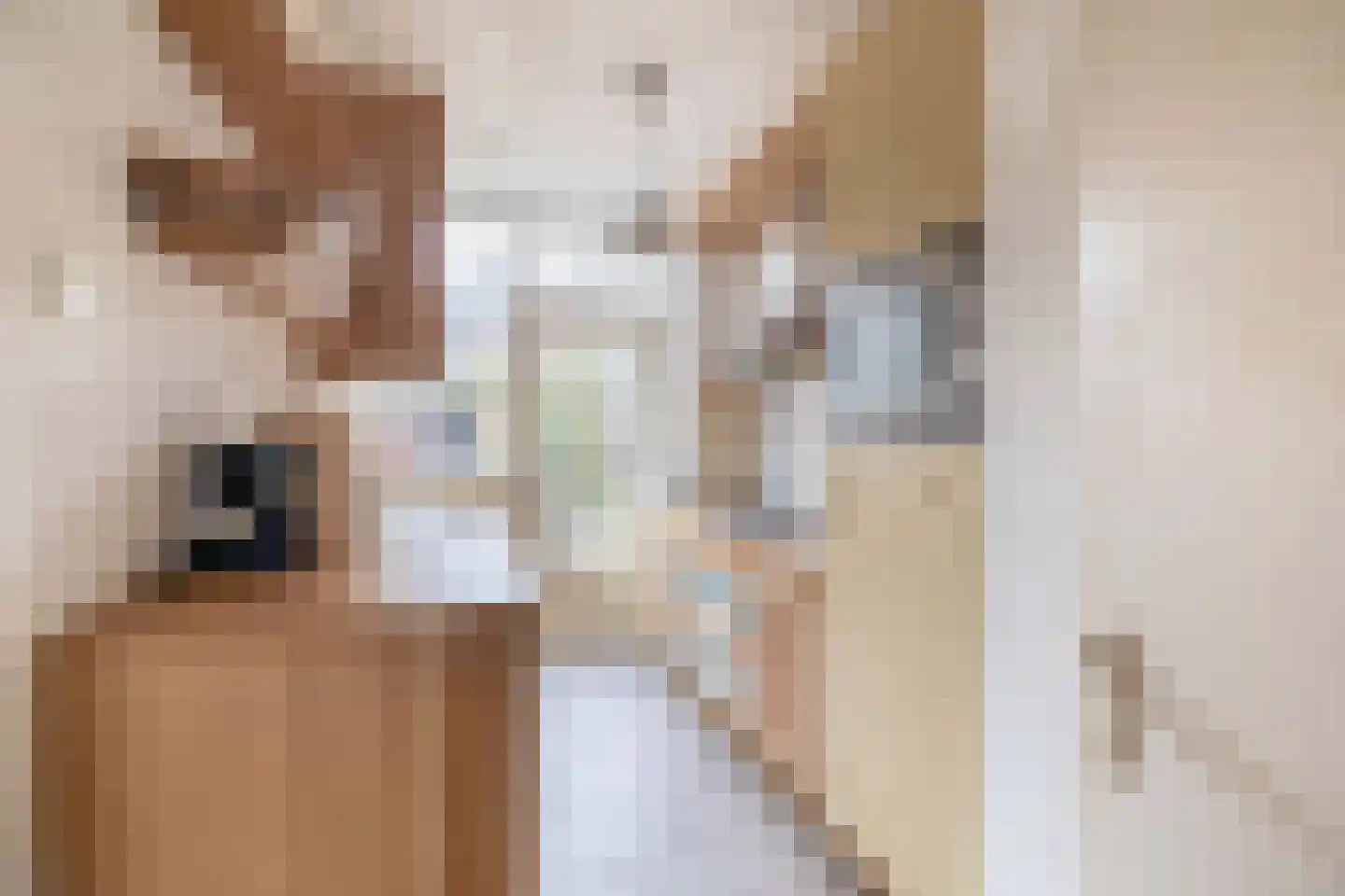 Ithacastraat 22 Eindhoven thumbnail 19