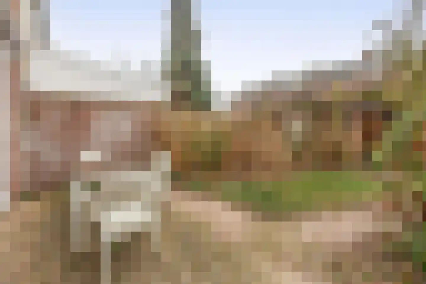 Ithacastraat 22 Eindhoven thumbnail 35