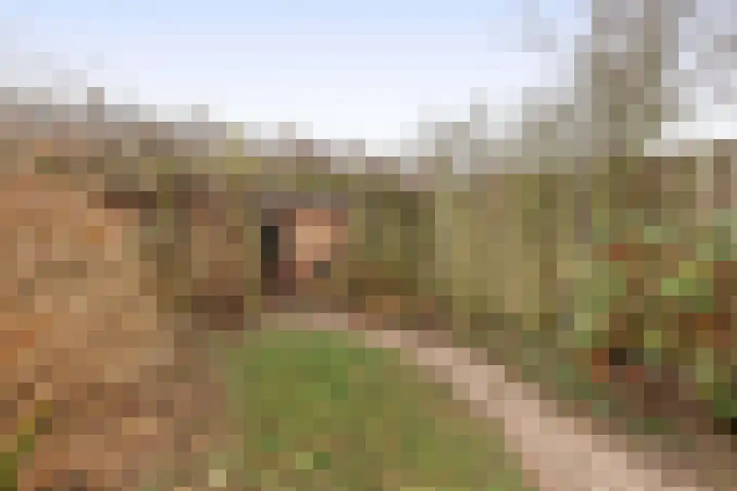 Ithacastraat 22 Eindhoven thumbnail 36