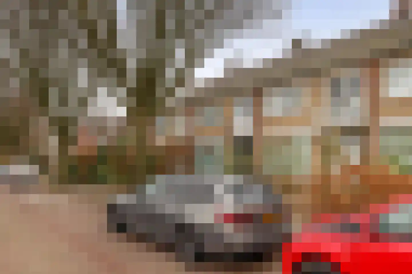 Ithacastraat 22 Eindhoven thumbnail 5