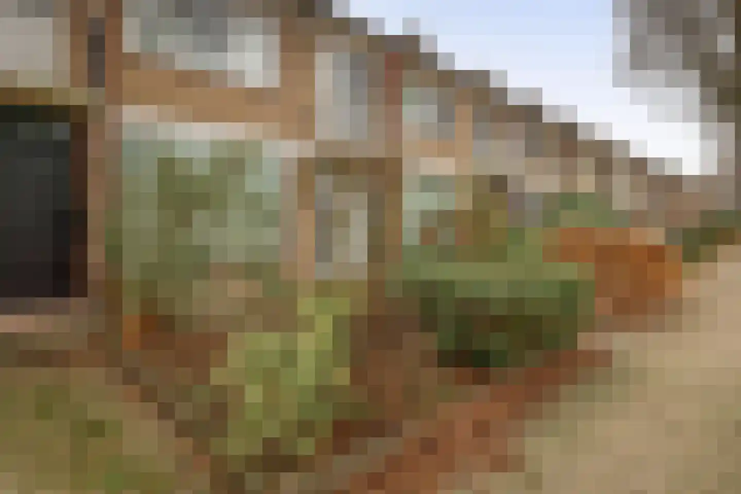 Ithacastraat 22 Eindhoven thumbnail 7