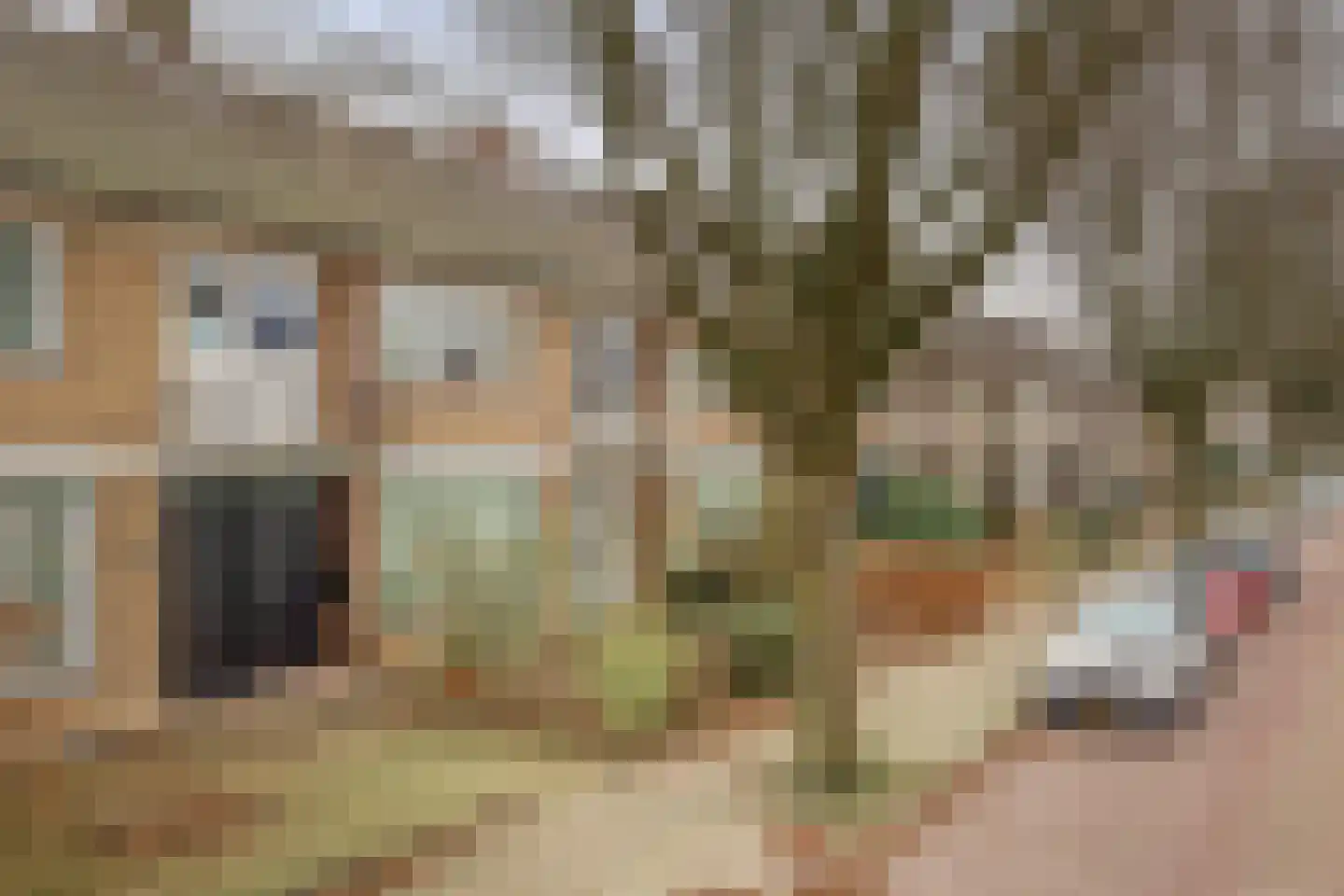 Ithacastraat 22 Eindhoven thumbnail 8