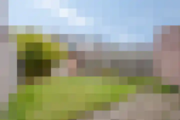 Ithacastraat 8 Eindhoven thumbnail 4