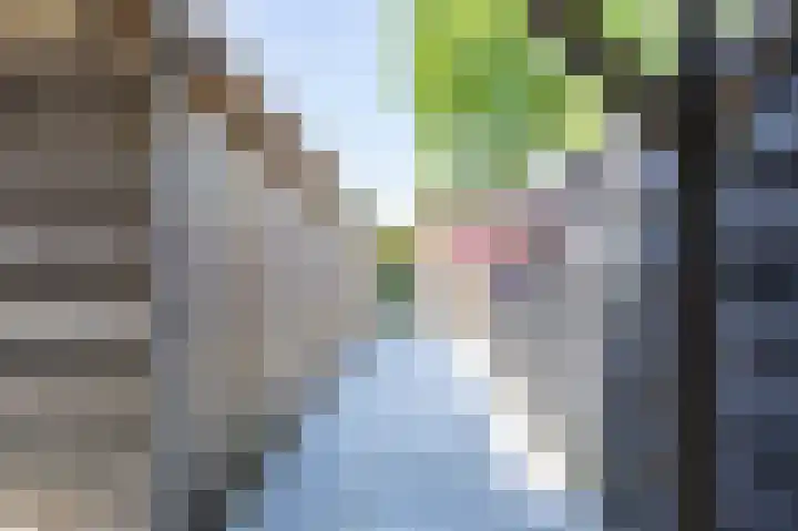 Itskenheerd 3 Marum thumbnail 46