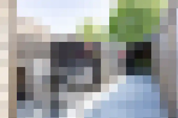 Itskenheerd 3 Marum thumbnail 48