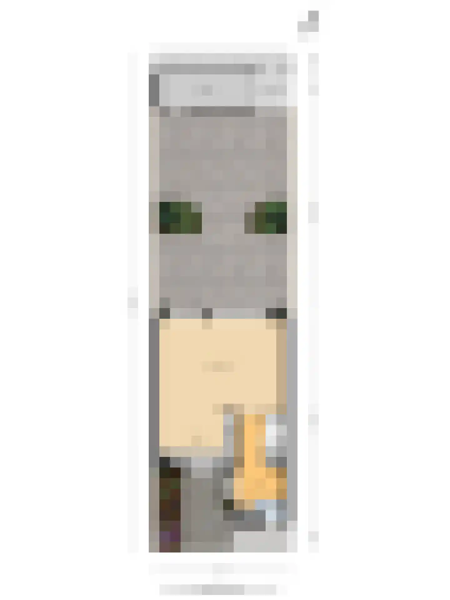 Itterbeek 3 Pijnacker thumbnail 21
