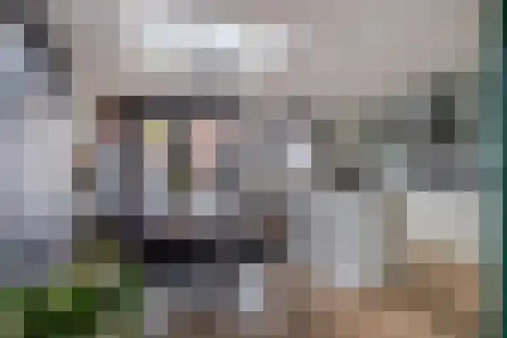Itterestraat 40 Helmond thumbnail 4