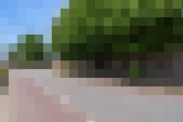 Ittervoorterweg 109 Weert thumbnail 37