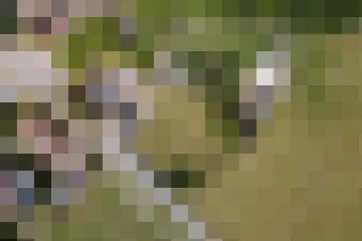 Ittervoorterweg 109 Weert thumbnail 38