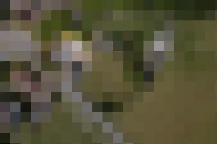 Ittervoorterweg 109 Weert thumbnail 5