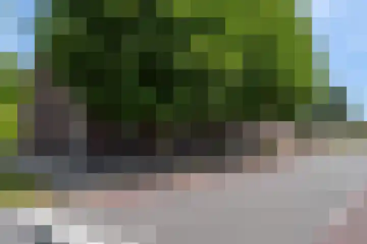 Ittervoorterweg 109 Weert thumbnail 6
