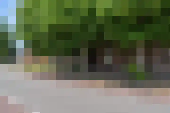 Ittervoorterweg 109 Weert thumbnail 7