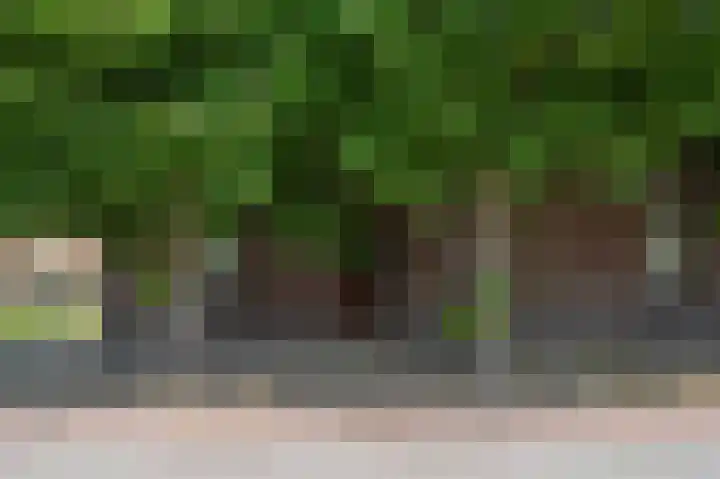 Ittervoorterweg 109 Weert thumbnail 8
