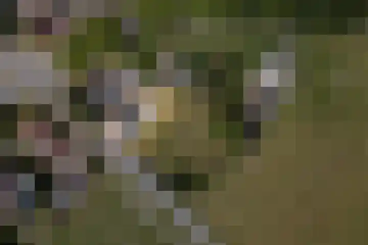 Ittervoorterweg 111 Weert thumbnail 5