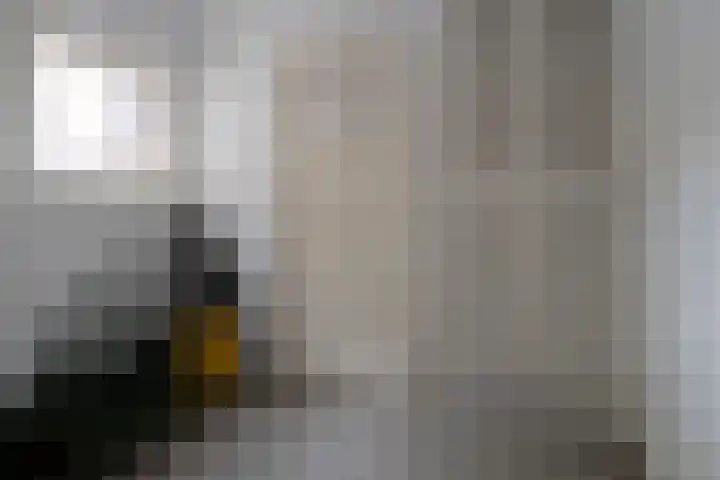 Ittervoorterweg 27 Thorn thumbnail 19