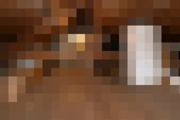 Ittervoorterweg 27 Thorn thumbnail 32