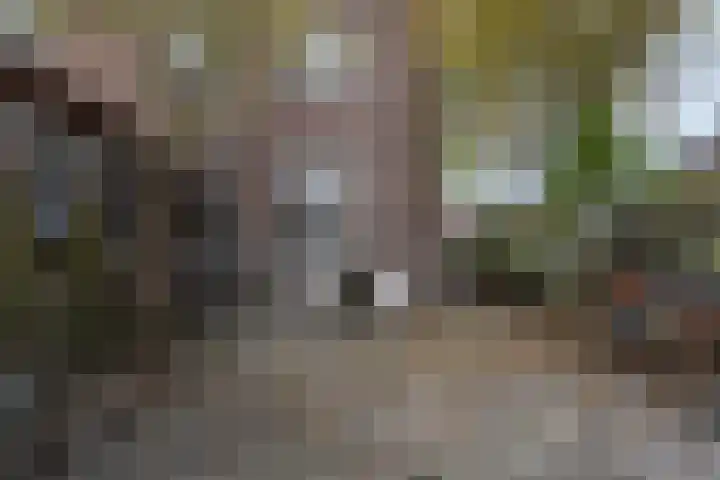 Ittervoorterweg 27 Thorn thumbnail 36