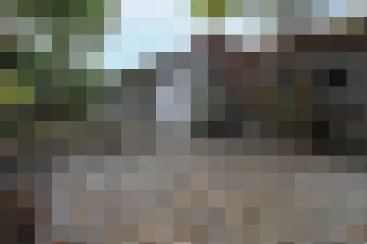Ittervoorterweg 27 Thorn thumbnail 37