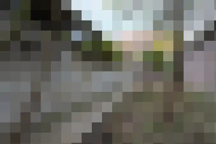 Ittervoorterweg 27 Thorn thumbnail 41