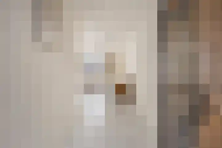 Ittervoorterweg 70 D Weert thumbnail 11