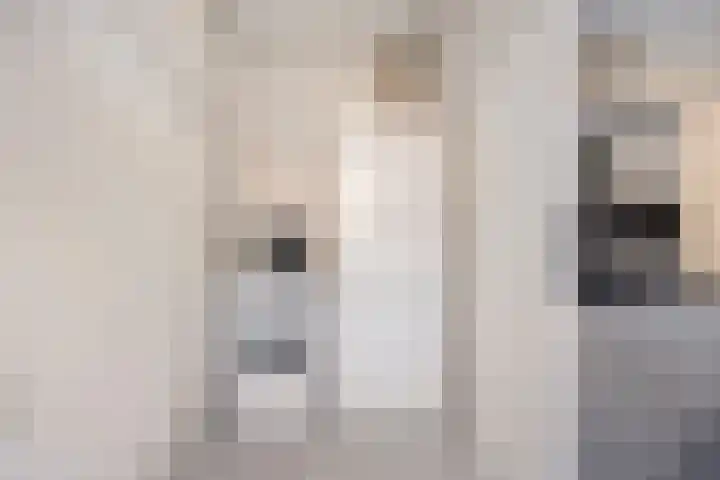 Ittervoorterweg 70 D Weert thumbnail 15