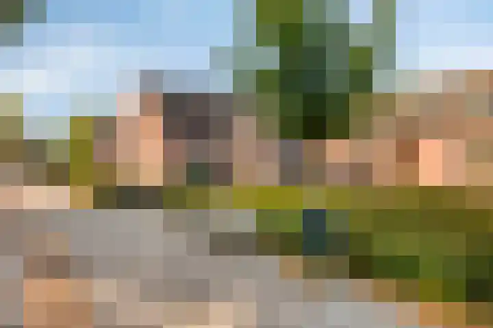 Ittervoorterweg 70 D Weert thumbnail 26