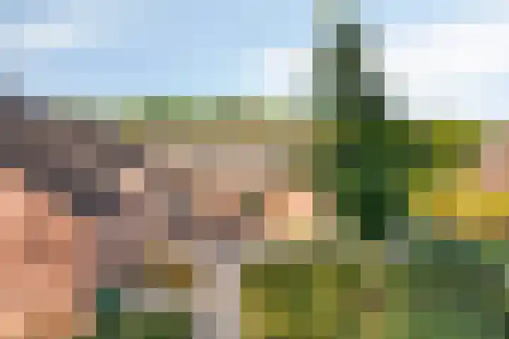 Ittervoorterweg 70 D Weert thumbnail 4