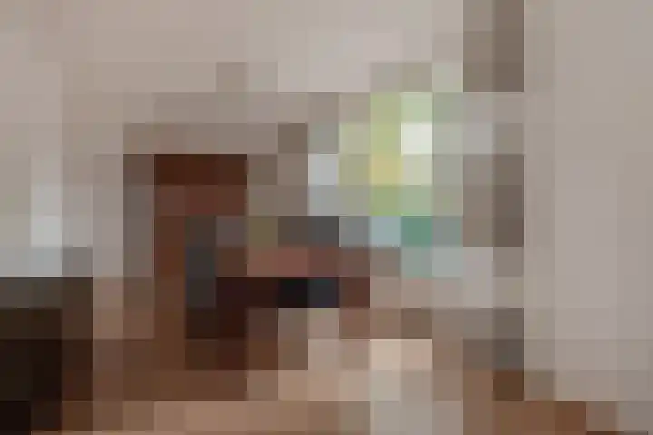 Ivanovschouw 3 Zoetermeer thumbnail 16