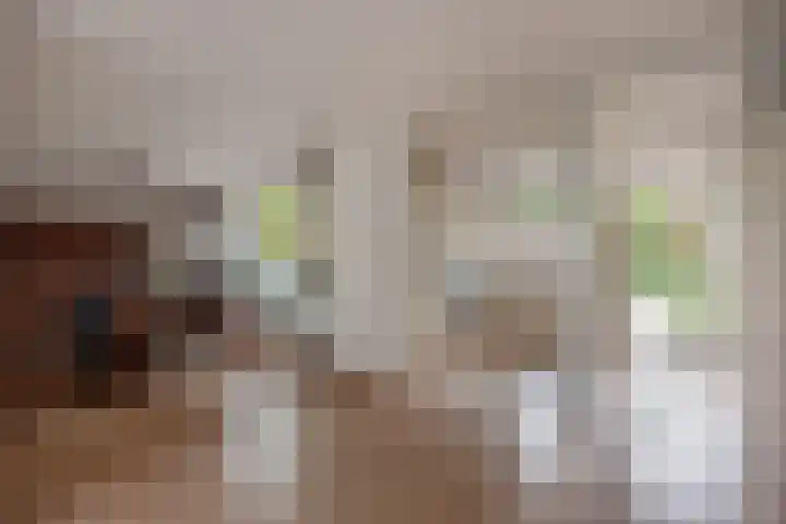 Ivanovschouw 3 Zoetermeer thumbnail 19