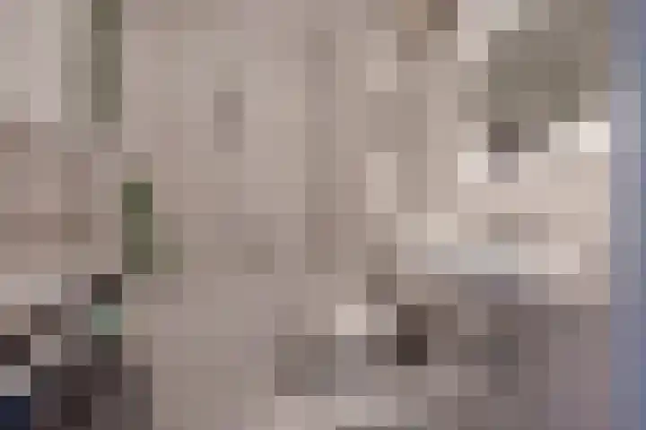 Ivanovschouw 3 Zoetermeer thumbnail 23