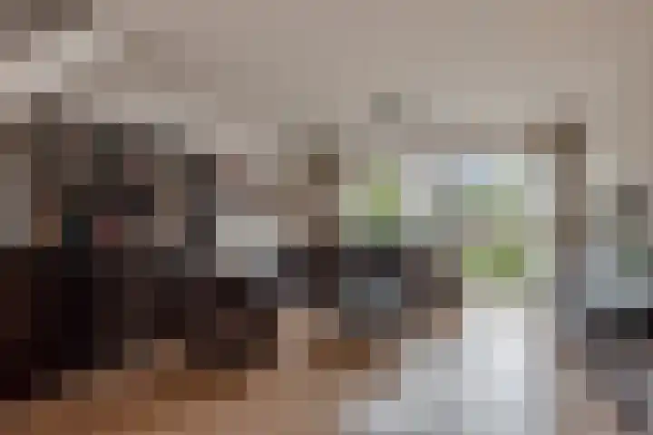 Ivanovschouw 3 Zoetermeer thumbnail 8