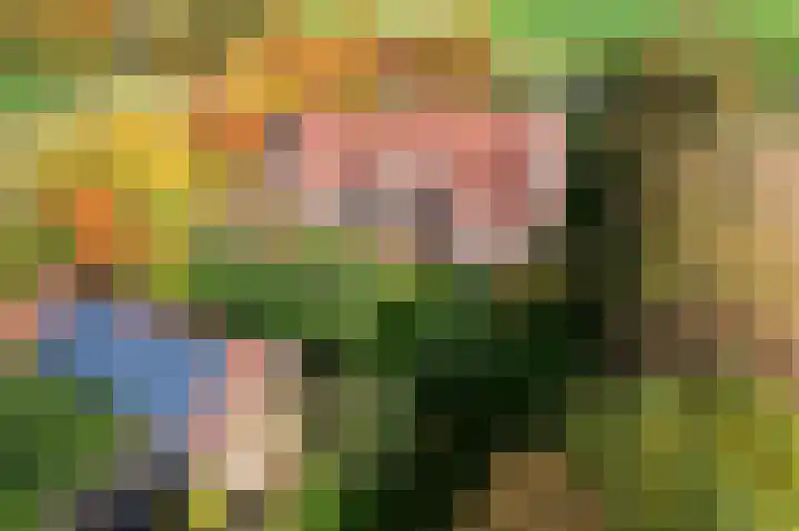 Ivige Leane 30 Loënga