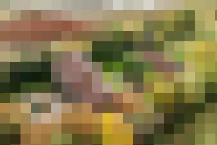 Ivige Leane 30 Loënga foto 2