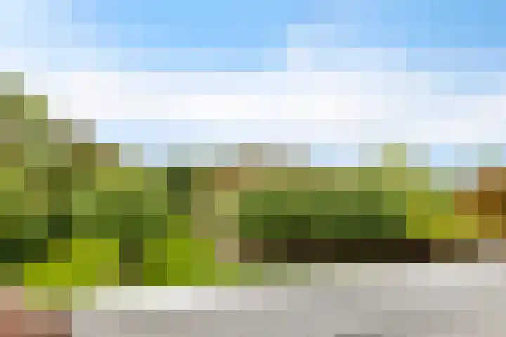 Ivige Leane 30 Loënga thumbnail 25