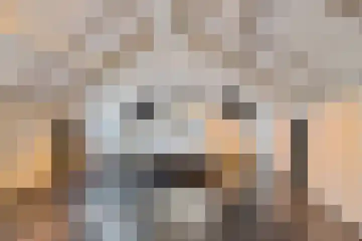 Ivige Leane 30 Loënga thumbnail 28