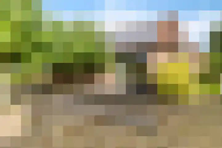Ivige Leane 30 Loënga thumbnail 39