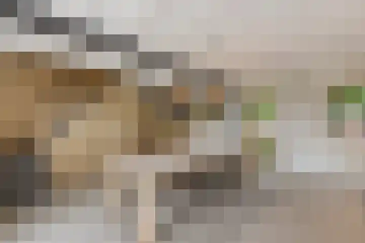 Ivige Leane 30 Loënga thumbnail 48