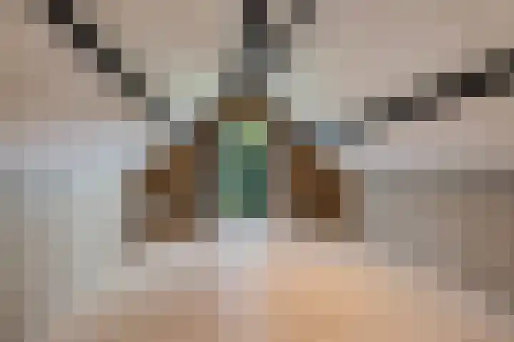 Ivige Leane 30 Loënga thumbnail 52