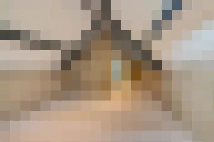 Ivige Leane 30 Loënga thumbnail 53
