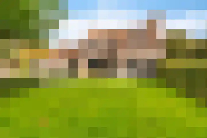 Ivige Leane 30 Loënga thumbnail 55