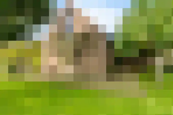 Ivige Leane 30 Loënga thumbnail 56