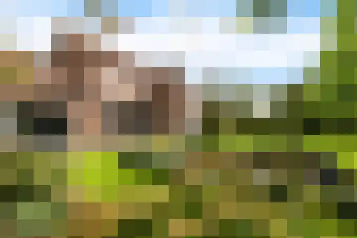 Ivige Leane 30 Loënga thumbnail 57