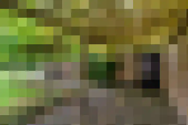 Ivige Leane 30 Loënga thumbnail 58
