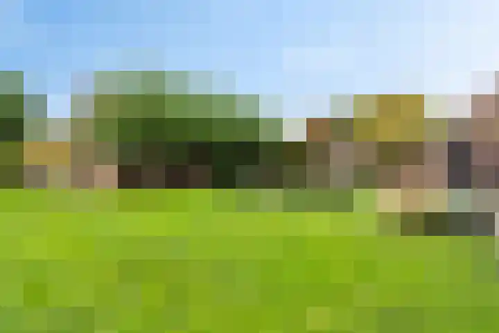 Ivige Leane 30 Loënga thumbnail 60