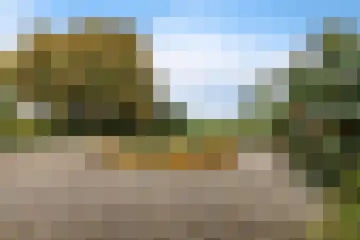 Ivige Leane 30 Loënga thumbnail 61